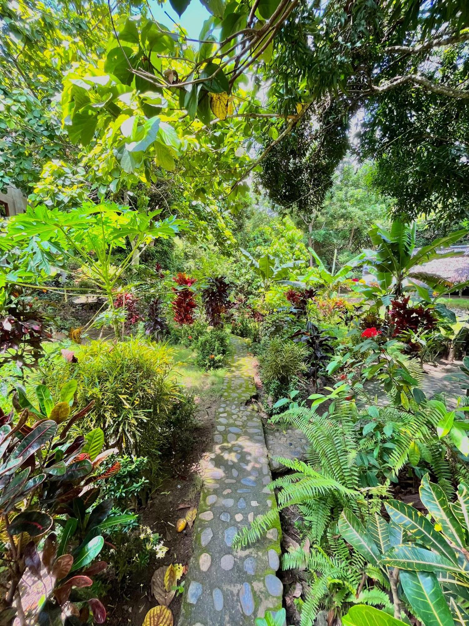 Santuario Tayrona Hostel Калабасо Экстерьер фото