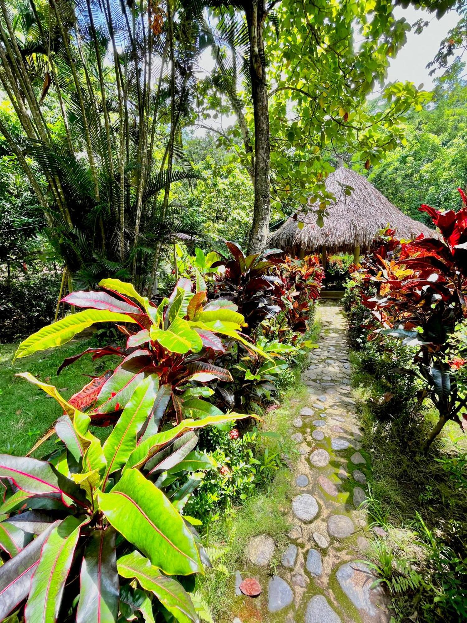 Santuario Tayrona Hostel Калабасо Экстерьер фото